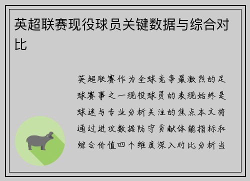英超联赛现役球员关键数据与综合对比