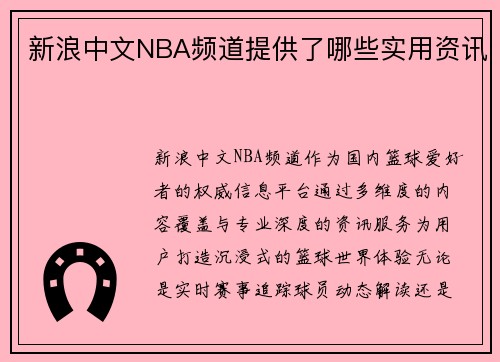 新浪中文NBA频道提供了哪些实用资讯